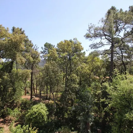 Charming On A Secured Private Domain With Large Swimming Pool *