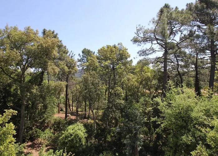 Holiday Home In Frejus With Pool & Tennis *
